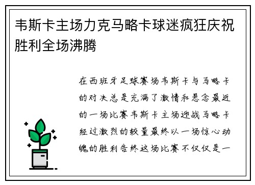 韦斯卡主场力克马略卡球迷疯狂庆祝胜利全场沸腾