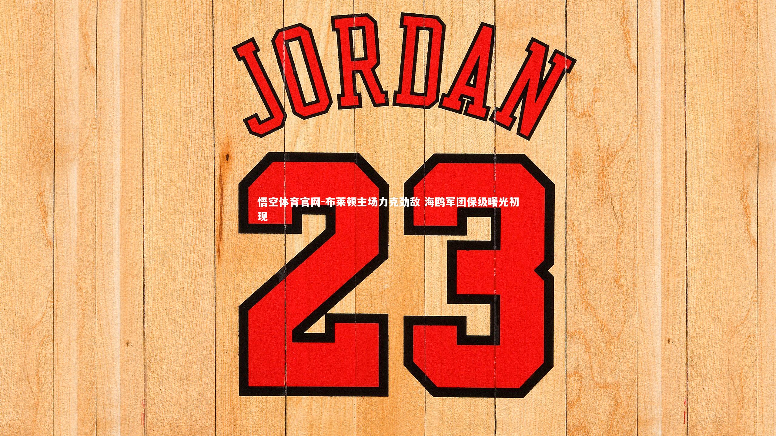 布莱顿主场力克劲敌 海鸥军团保级曙光初现