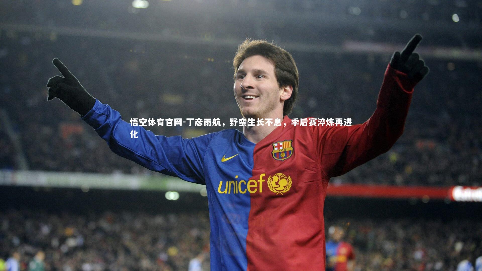 丁彦雨航,野蛮生长不息,季后赛淬炼再进化